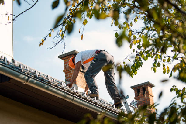 Best Chimney Flashing Repair  in Nixon, TX
