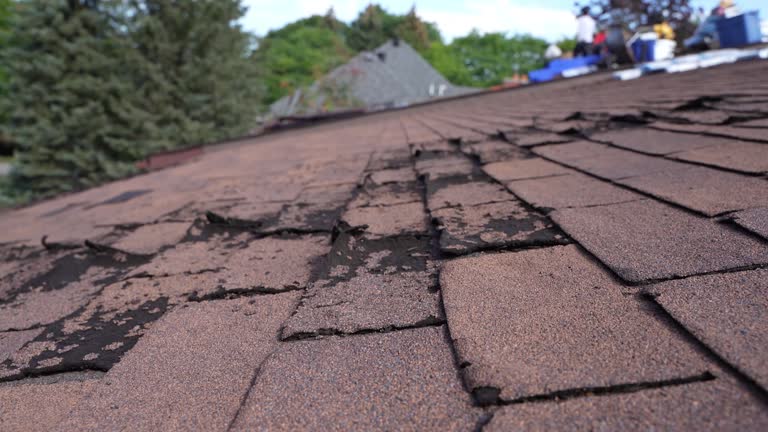 Best Rubber Roofing (EPDM, TPO)  in Nixon, TX