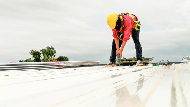 Best Roof Maintenance and Cleaning  in Nixon, TX